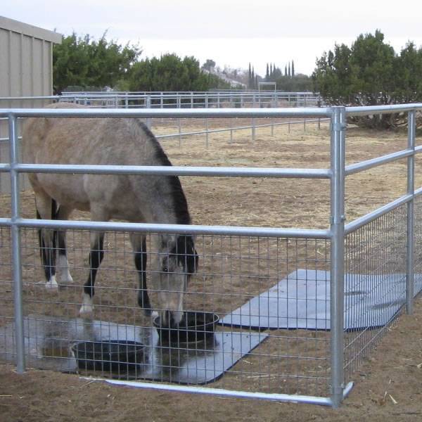 Half wire attached fence system that is used to protect horses from predators.