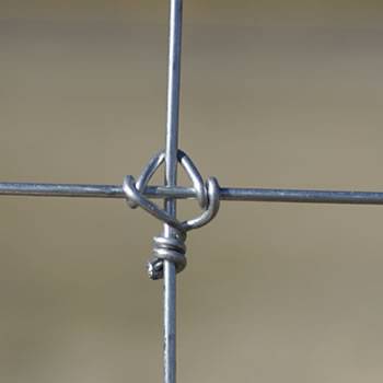 Fixed knot of field fence